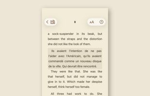 Translate any Paragraph - instantly and offline