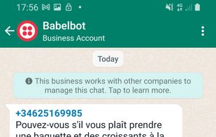 BabelBot screenshot 2