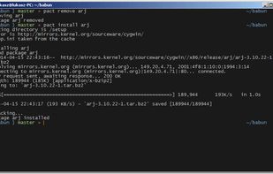 Built-in pact package installer.