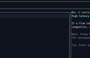 babyshark screenshot 2