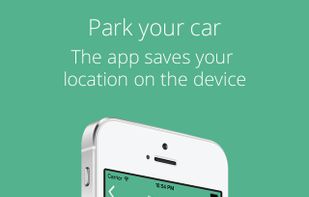 Back to Car screenshot 1