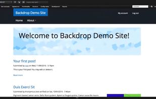 Backdrop CMS screenshot 1