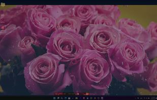 BackDrop_ screenshot 3