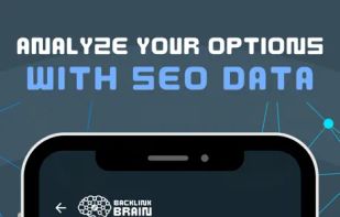 Backlink Brain screenshot 2