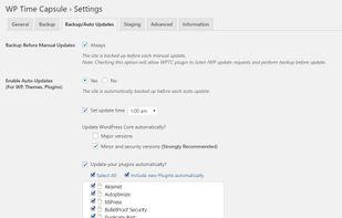 Select plugins or themes to Auto Update.