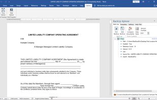 BackUp Xplorer In The Microsoft Word Task Pane