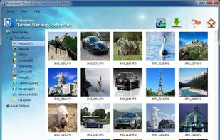 Backuptrans iTunes Backup Extractor screenshot 1