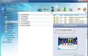 Backuptrans iTunes Backup Extractor screenshot 1
