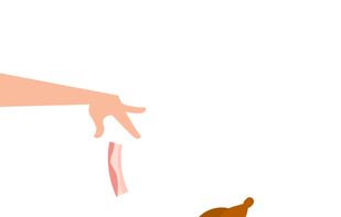 Bacon - The Game screenshot 3