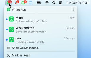 Recent messages for one app, with Mark as Read and per-app settings.