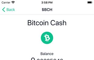 Badger Wallet screenshot 2
