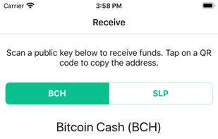 Badger Wallet screenshot 3