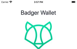 Badger Wallet screenshot 1