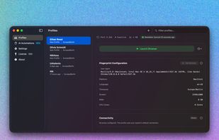 Bagel Browser screenshot 1