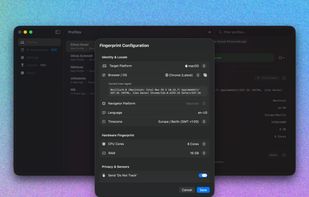 Bagel Browser screenshot 2