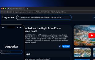 Bagoodex screenshot 1