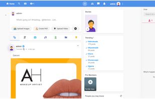 Alternative social network