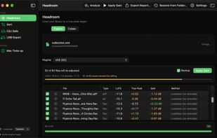 Headroom: True Peak adjustment for playlists, lives in CDJ.