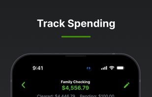 Balance Pro: Budget & Spending screenshot 1
