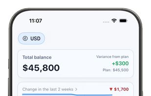 Balansly screenshot 1