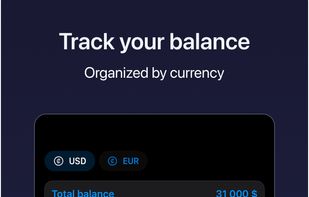 Balansly screenshot 1