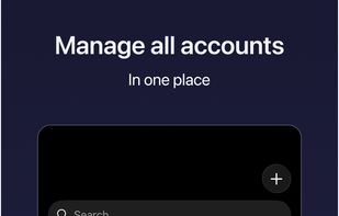 Balansly screenshot 2