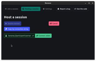 Bananas Screen Sharing screenshot 2
