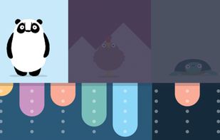 BANDIMAL screenshot 2