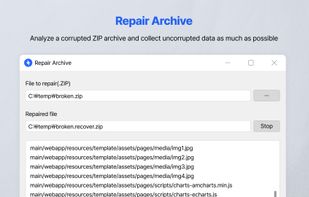 Repair Archive (paid edition)