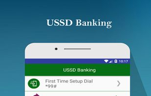 Bank Balance Check screenshot 3