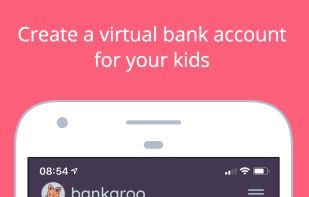 Bankaroo screenshot 1