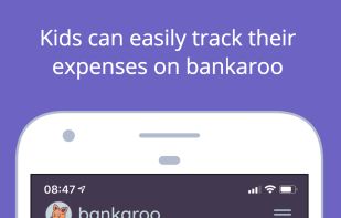 Bankaroo screenshot 2