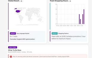 Visualizes where visitors come from and when they shop, then turns it into a clear “What to do now” action list (e.g., SEO focus, promo timing, retention next steps).