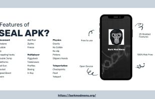 Features of Bark mod menu