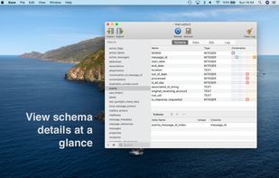 View schema details at a glance.,