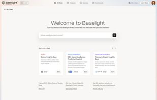 Baselight AI combines a natural language interface with a vast data catalog