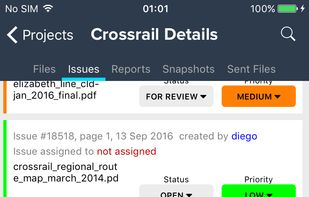 iPhone Project Issues Screen