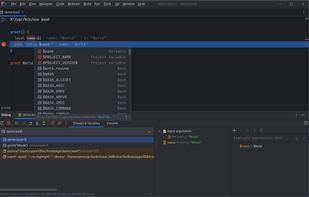BashSupport Pro screenshot 1