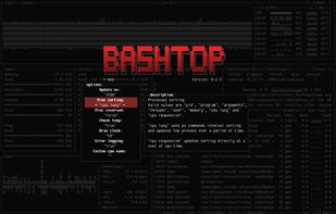 Bashtop screenshot 2