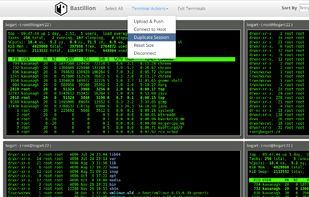 Bastillion screenshot 1