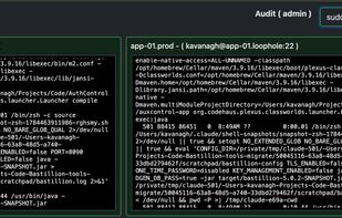 Replaying a recorded session for audits, with output filtering