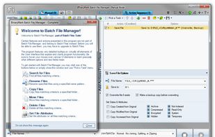 Batch File Manager screenshot 1