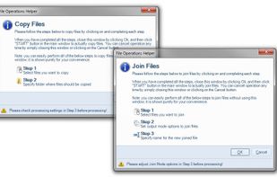Batch File Manager screenshot 3