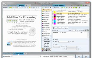 Batch Hex Editor screenshot 1