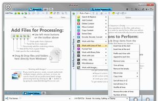 Batch Text File Editor screenshot 3