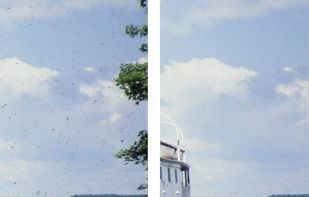 Dust spot removal sample