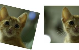 Tilt correction sample