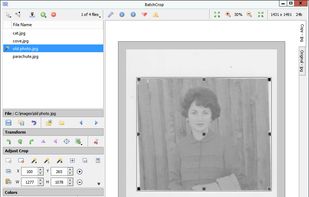 Screenshot of main window