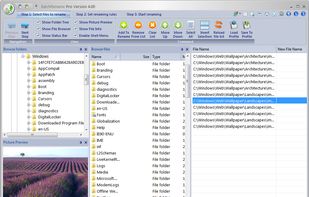 BatchRename screenshot 2