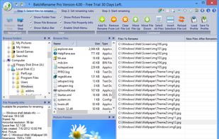 BatchRename screenshot 1